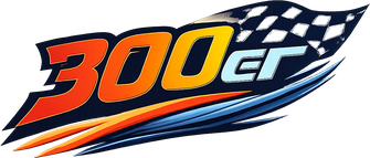 300er Logo